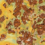 weird business ideas that made millions