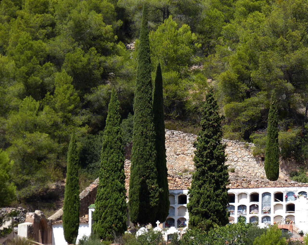 landscaping business ideas