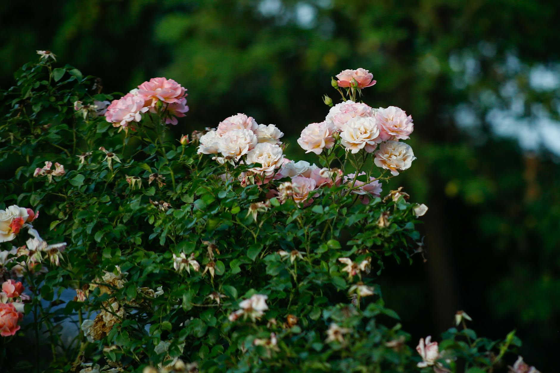 Seasonal and Event-Based Revenue Streams